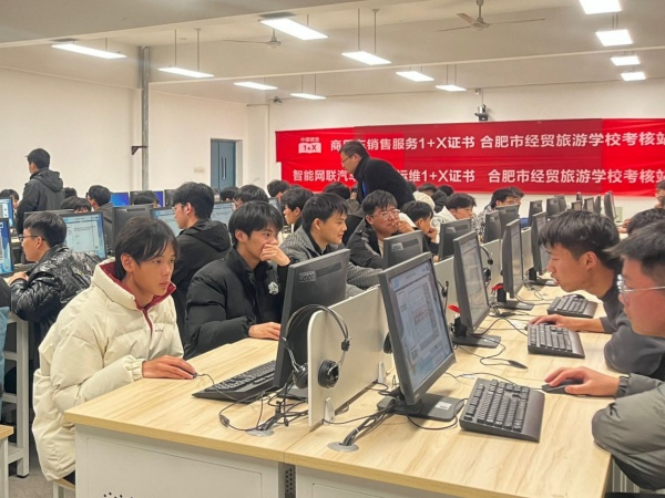 合肥互联网销售公司的崛起与挑战