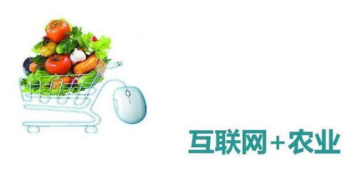 互联网赋能农业 产销新生态与未来展望